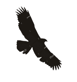 falcon3